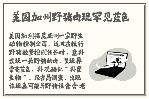 不穿内裤的女老师